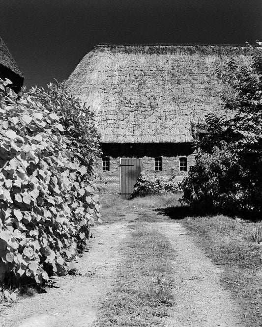 Rollei Infrared 400 Black and White Negative Film (35mm, 36 Exposures) - Single Roll